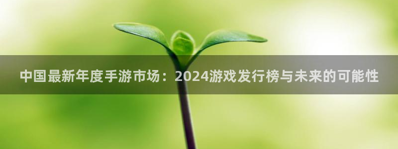 新城平台注册登录地址是什么：中国最新年度手游市场：2024游戏发行榜与未来的可能性