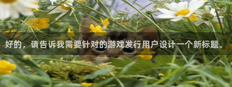 新城平台注册公司流程视频：好的，请告诉我需要针对的游戏发行用户设计一个新标题。