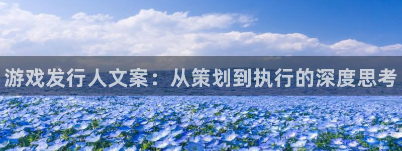 新城平台注册网址查询：游戏发行人文案：从策划到执行的深度思考