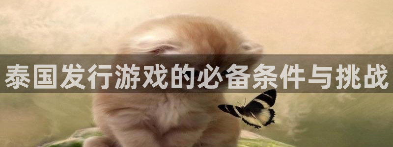 新城平台登录入口官网下载app：泰国发行游戏的必备条件与挑战