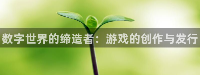 新城平台官网注册：数字世界的缔造者：游戏的创作与发行