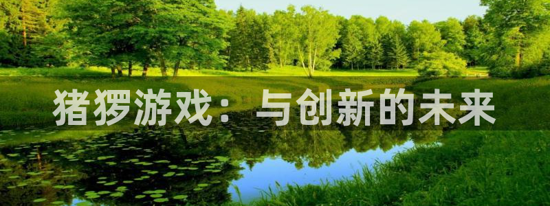 新城平台总代理是谁：猪猡游戏：与创新的未来